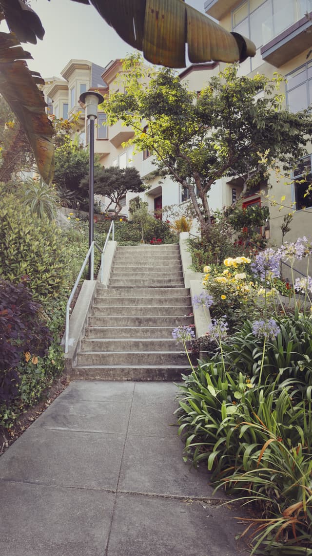 A stone staircase leads up through a lush garden with various plants and flowers, flanked by trees and a lamppost, with buildings visible in the background